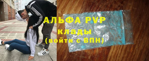 ешки Горняк