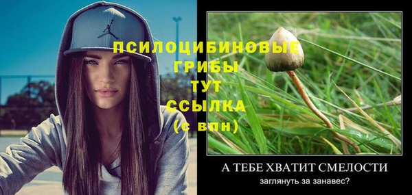 крисы Майский