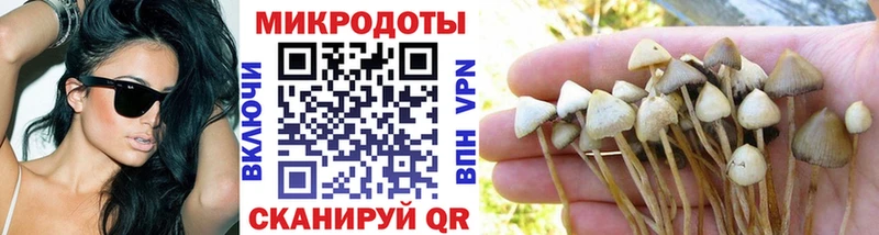 Галлюциногенные грибы мицелий  Медногорск 
