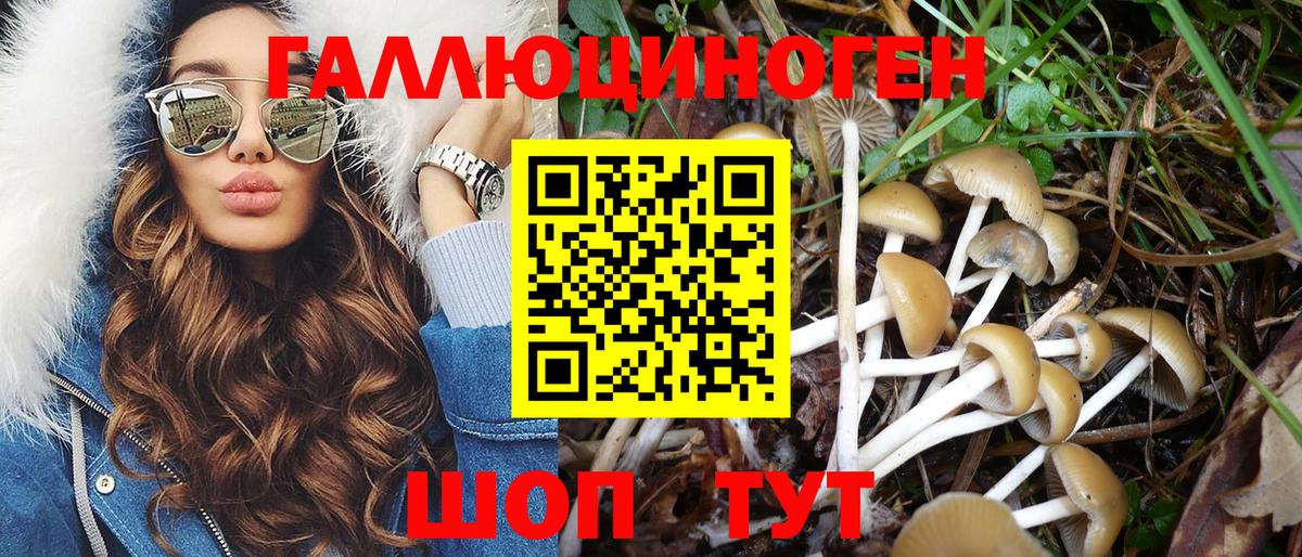 Галлюциногенные грибы прущие грибы Медногорск