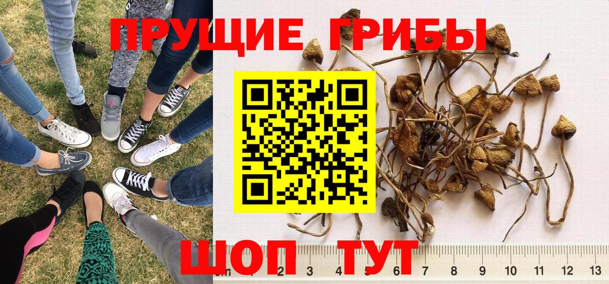 Галлюциногенные грибы MAGIC MUSHROOMS Медногорск