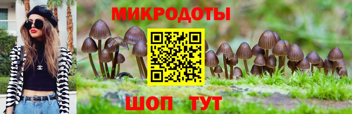 Псилоцибиновые грибы MAGIC MUSHROOMS  даркнет сайт  Медногорск  Вход с VPN 