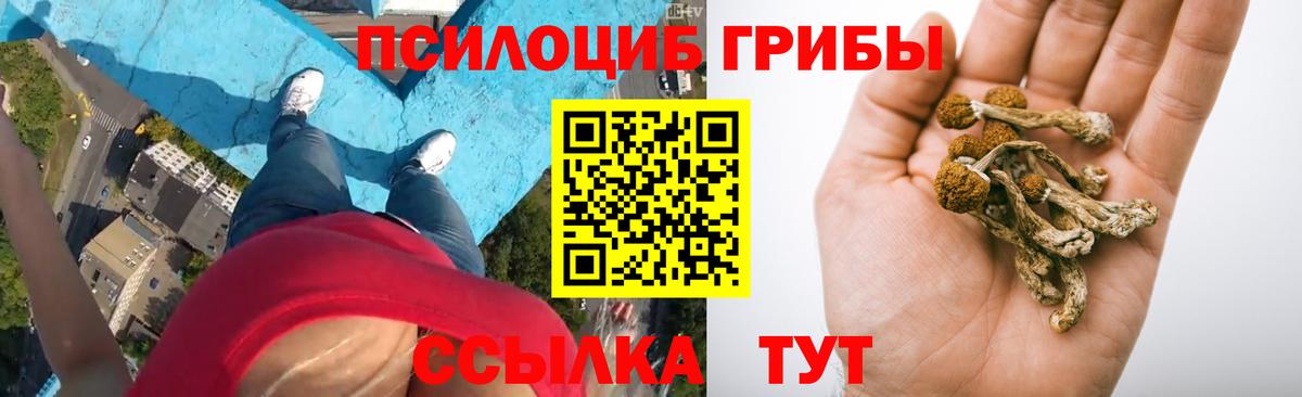 Галлюциногенные грибы MAGIC MUSHROOMS  Псилоцибиновые грибы GOLDEN TEACHER  Медногорск 